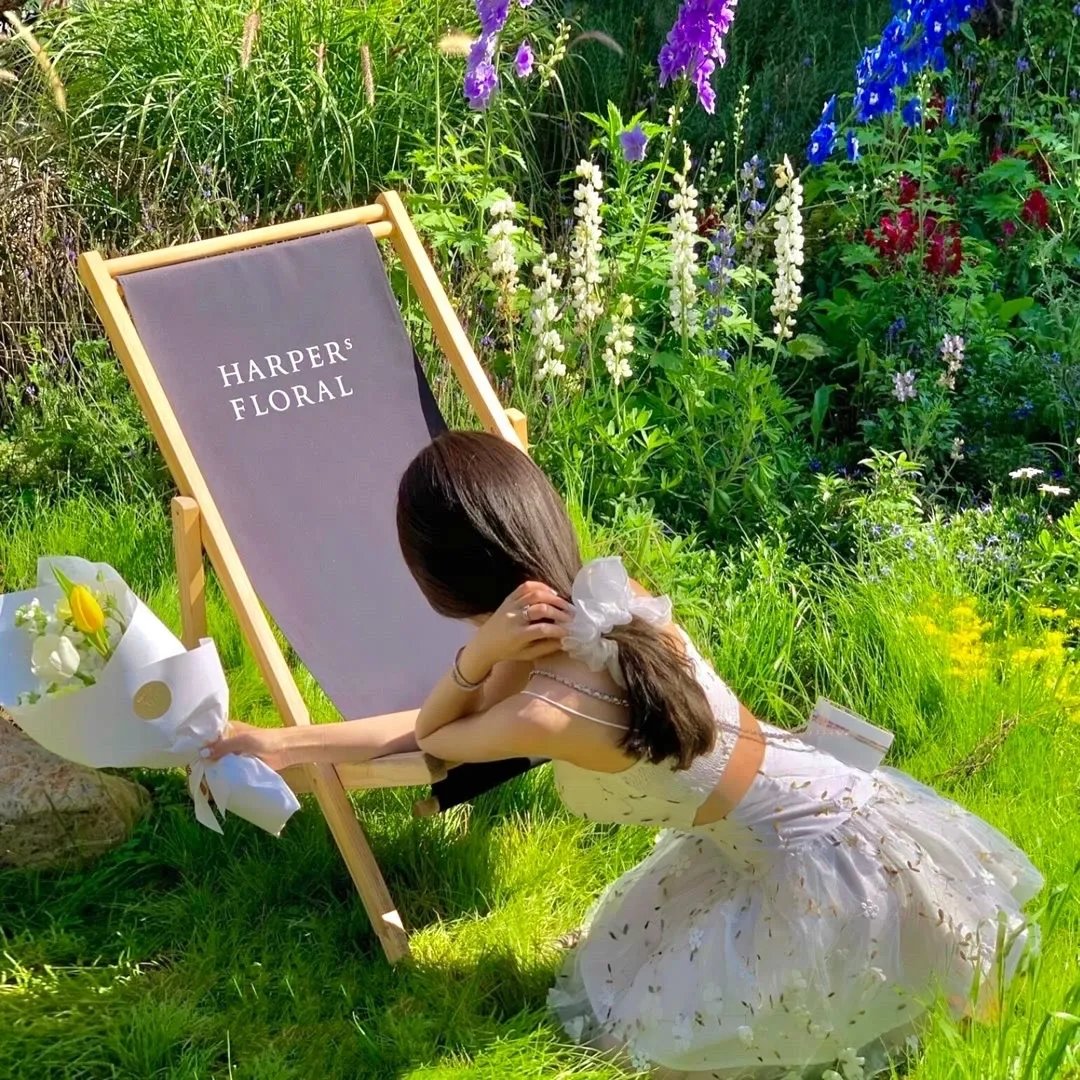 重回2000：风云再起